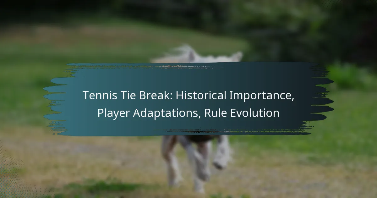 Tennis Tie Break: Historical Importance, Player Adaptations, Rule Evolution